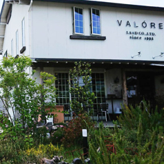 VALORE バルーレ 三河安城本店の写真