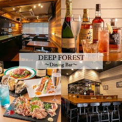 DEEP FOREST ディープ フォレストの写真