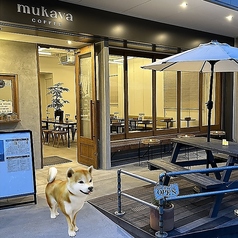 cafe＆bar ーmukava diningー （ムカバダイニング）の雰囲気1