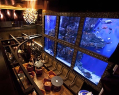 AQUA RESTAURANT&BAR LUXIS ラグシスの写真