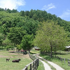 やさい村信州高遠藤沢郷 こかげの写真