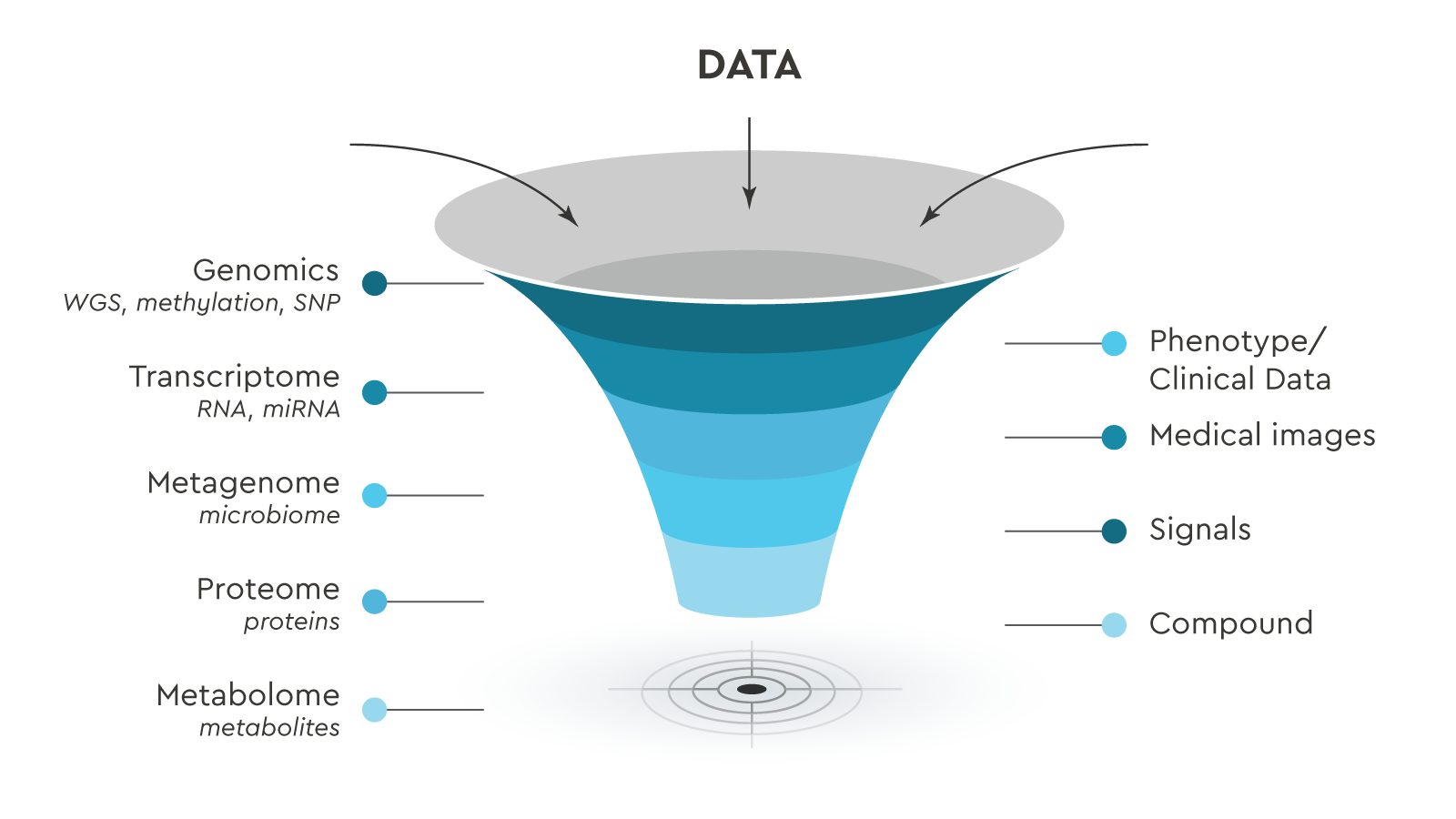 Data types JADBio can parse