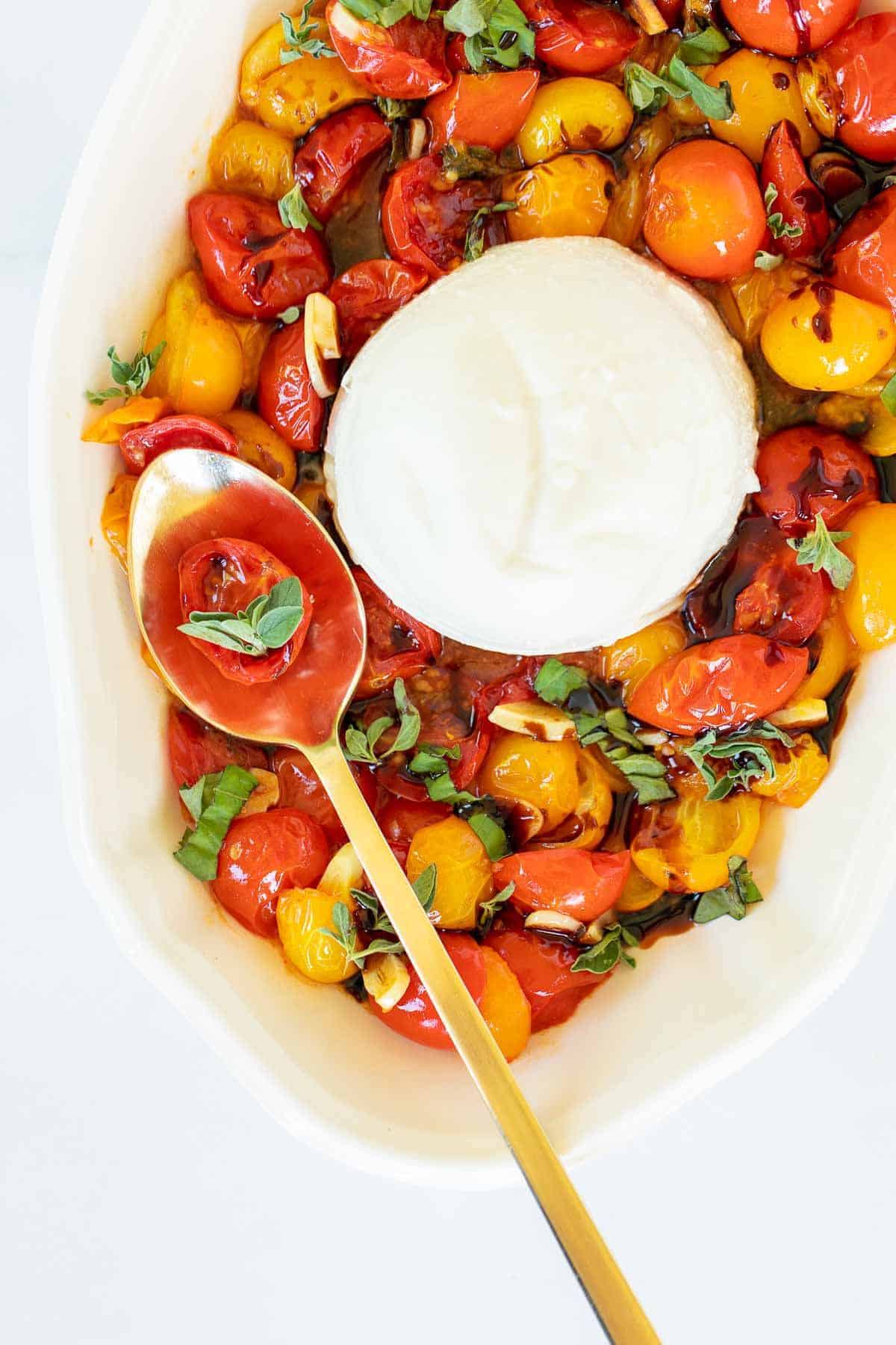 Baked burrata recipe surrounded by roasted cherry tomatoes in a white oval platter.