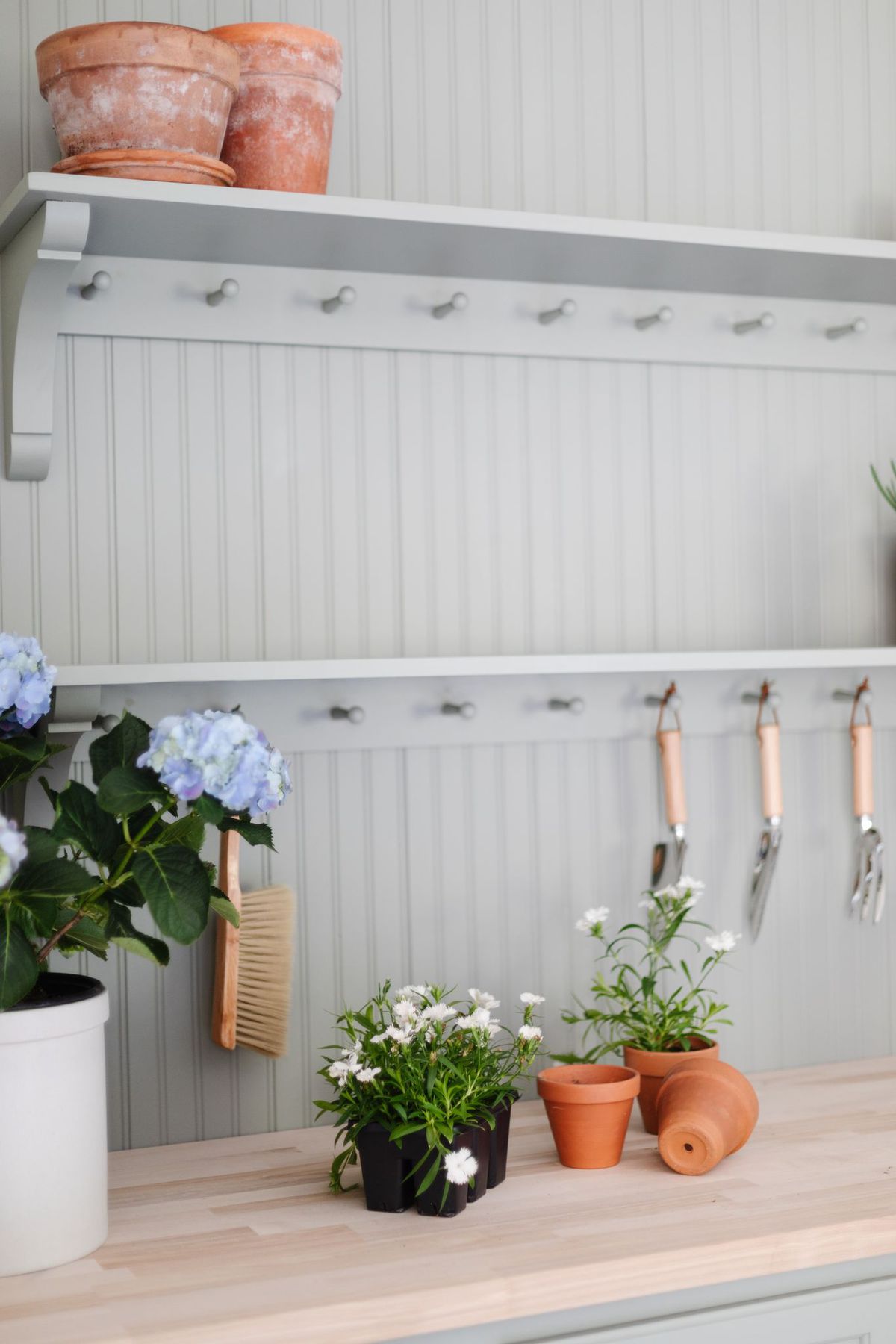 Bead board and peg rail shelves painted in Sherwin Williams Evergreen Fog