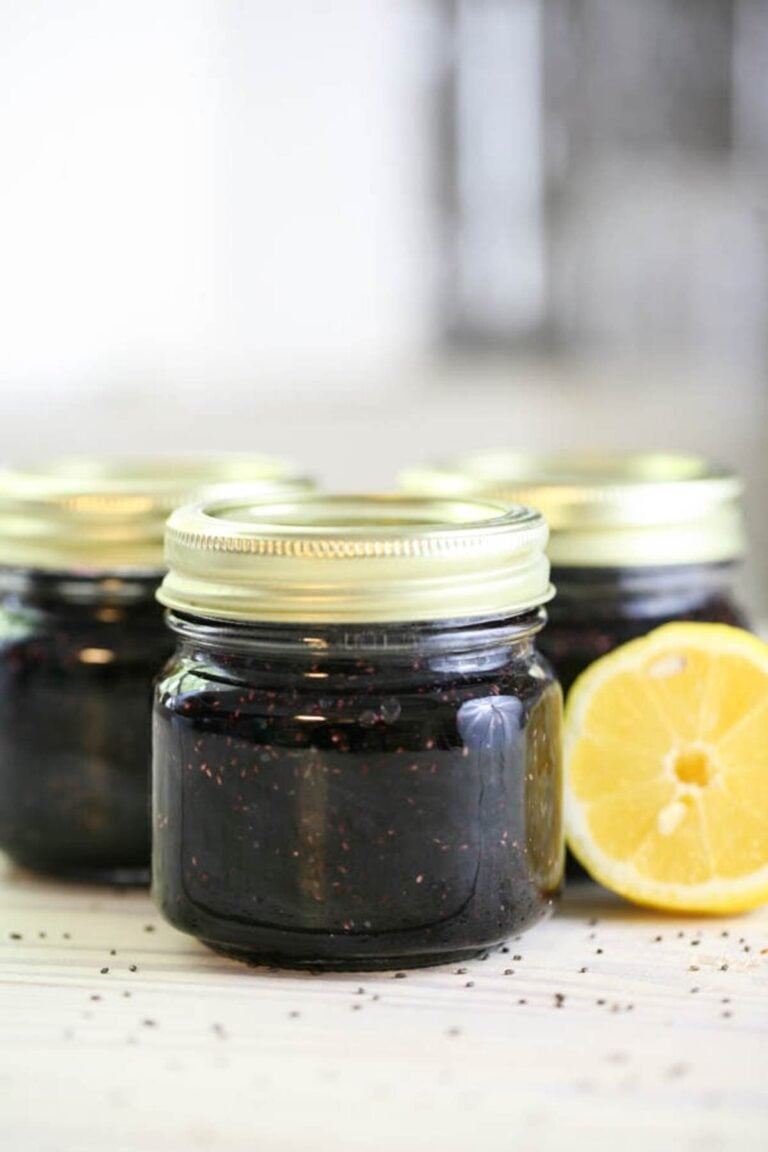 Chia Blueberry Jam Recipe