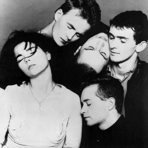 Awatar dla The Sugarcubes