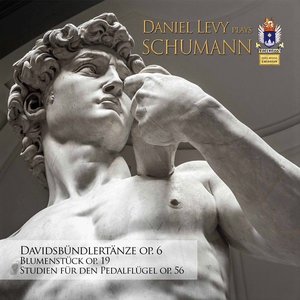 Schumann: Piano Music, Vol. 5