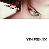 YIN REMIX - Single