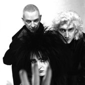 Siouxsie and the Banshees