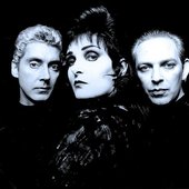 Siouxsie and the Banshees