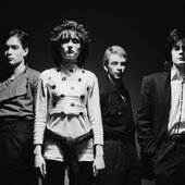 Siouxsie and the Banshees