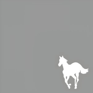 Image pour 'White Pony'