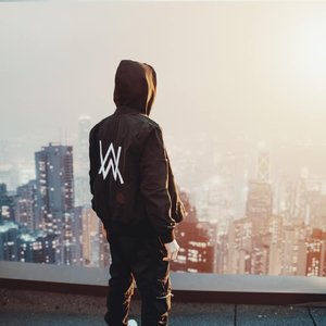 Image pour 'Alan Walker'