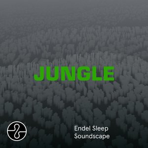 “JUNGLE (Sleep Soundscape)”的封面