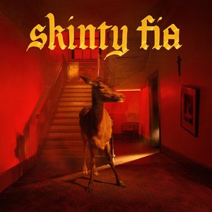 Image pour 'Skinty Fia'