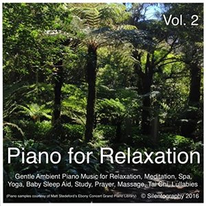 'Piano for Relaxation, Vol. 2 (Gentle Ambient Piano Music for Relaxation, Meditation, Spa, Yoga, Baby Sleep Aid, Study, Prayer, Massage, Tai Chi, Lullabies)'の画像