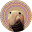 Seal's user avatar