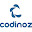 Codinoz Technologies's user avatar