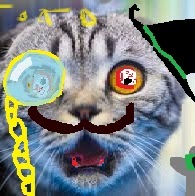 Gato Rico's user avatar