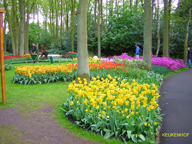 Keukenhof, uno dei giardini primaverili più estesi al mondo