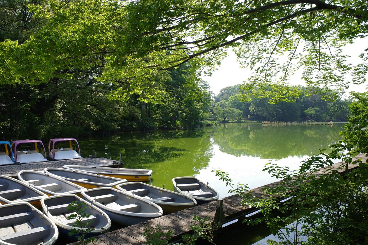 都立善福寺公園