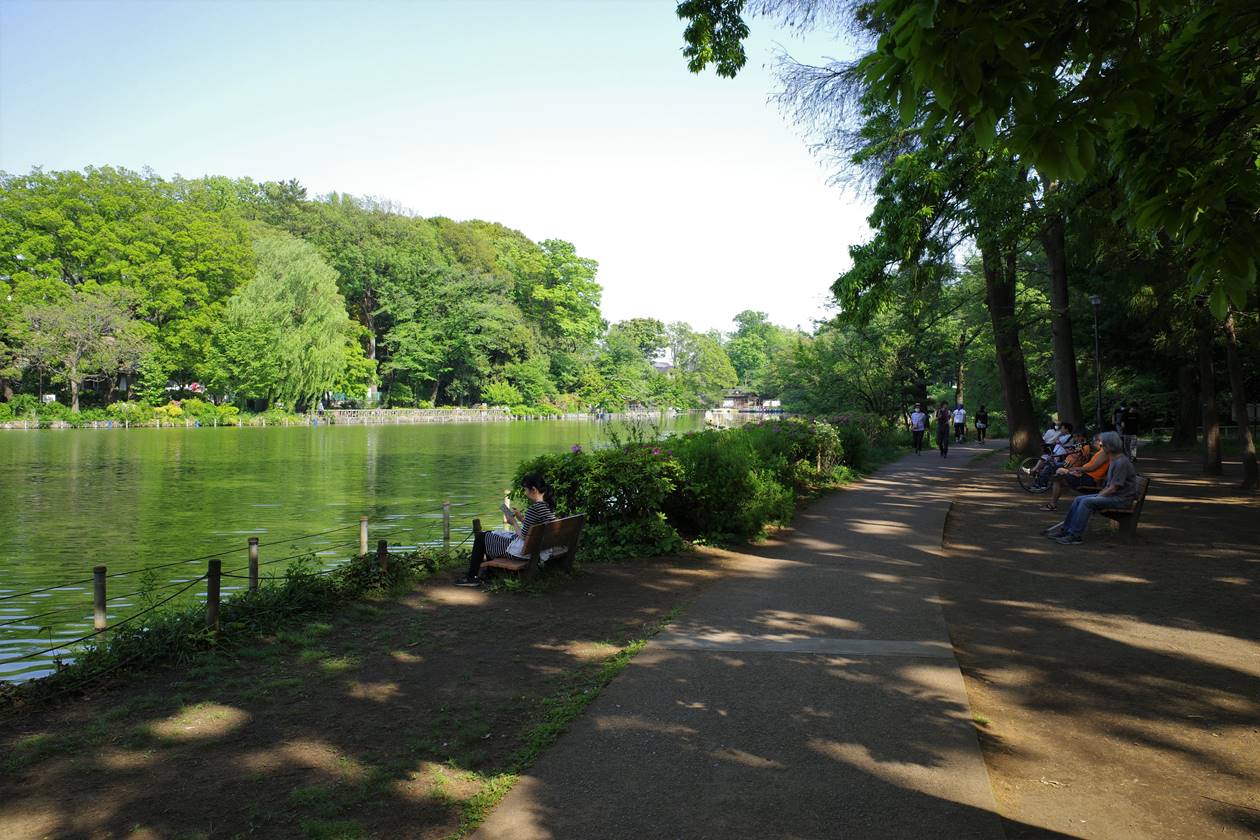 善福寺公園の善福寺池