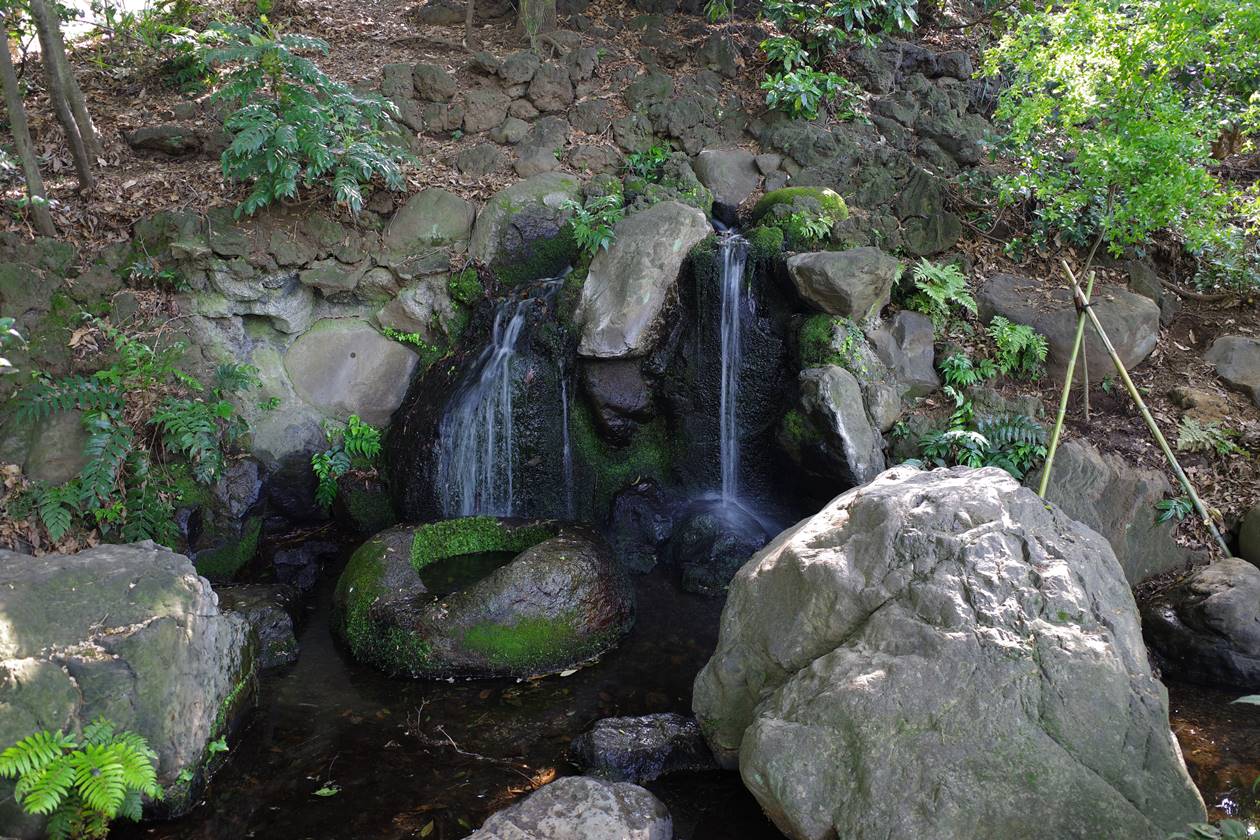 善福寺川の水源