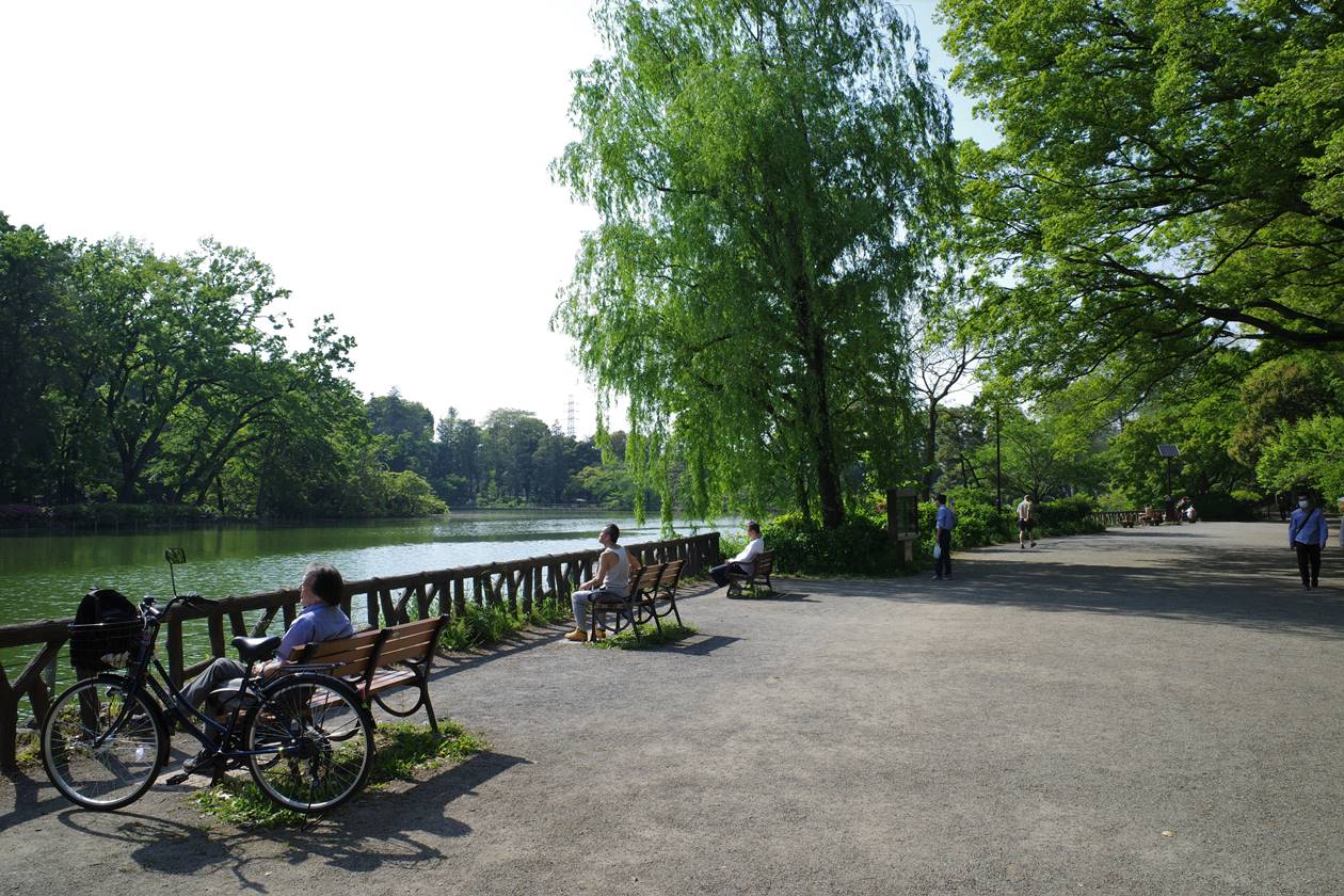 都立善福寺公園