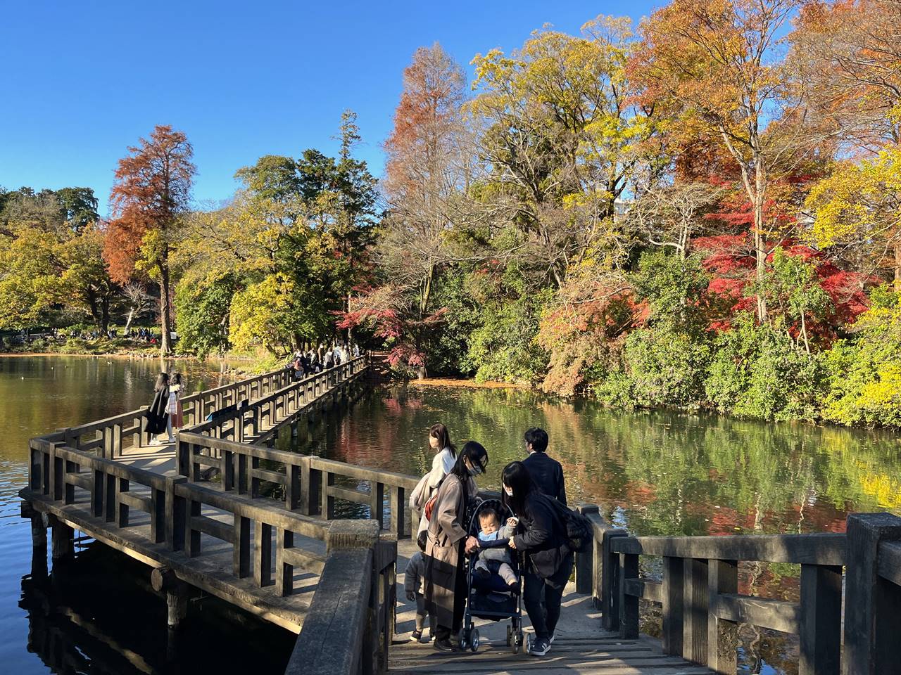 東京の紅葉名所・井の頭公園（吉祥寺）