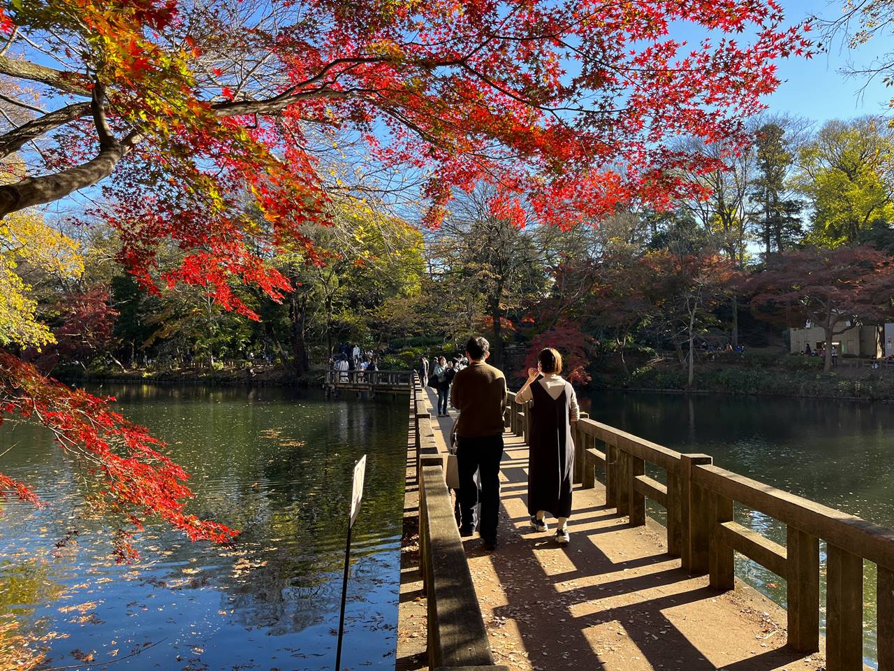 東京の紅葉名所・井の頭公園（吉祥寺）