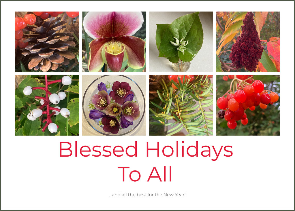 Holiday Blessings framed