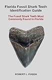 Florida Fossil Shark Teeth Identification Guide: The Fossil Shark Teeth Most Commonly Found In Florida