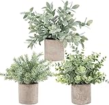 Package: You will get 3 packs sage green faux plants desktop indoor. The small fake plant measures appr 10" tall. The paper pulp pot appr 3.65" tall wide Durable Material: Our mini potted artificial plants indoor have eucalyptus leaves that are made ...