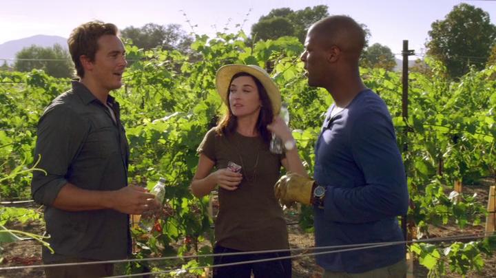 Margo Harshman, DeVaughn Nixon, and Steve Talley in Love on the Vines (2017)