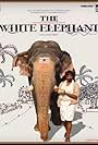 The White Elephant (2009)