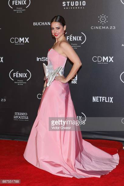 Premios Fenix - Alejandro Carlin Dress