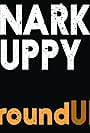 Snarky Puppy: groundUP (2012)