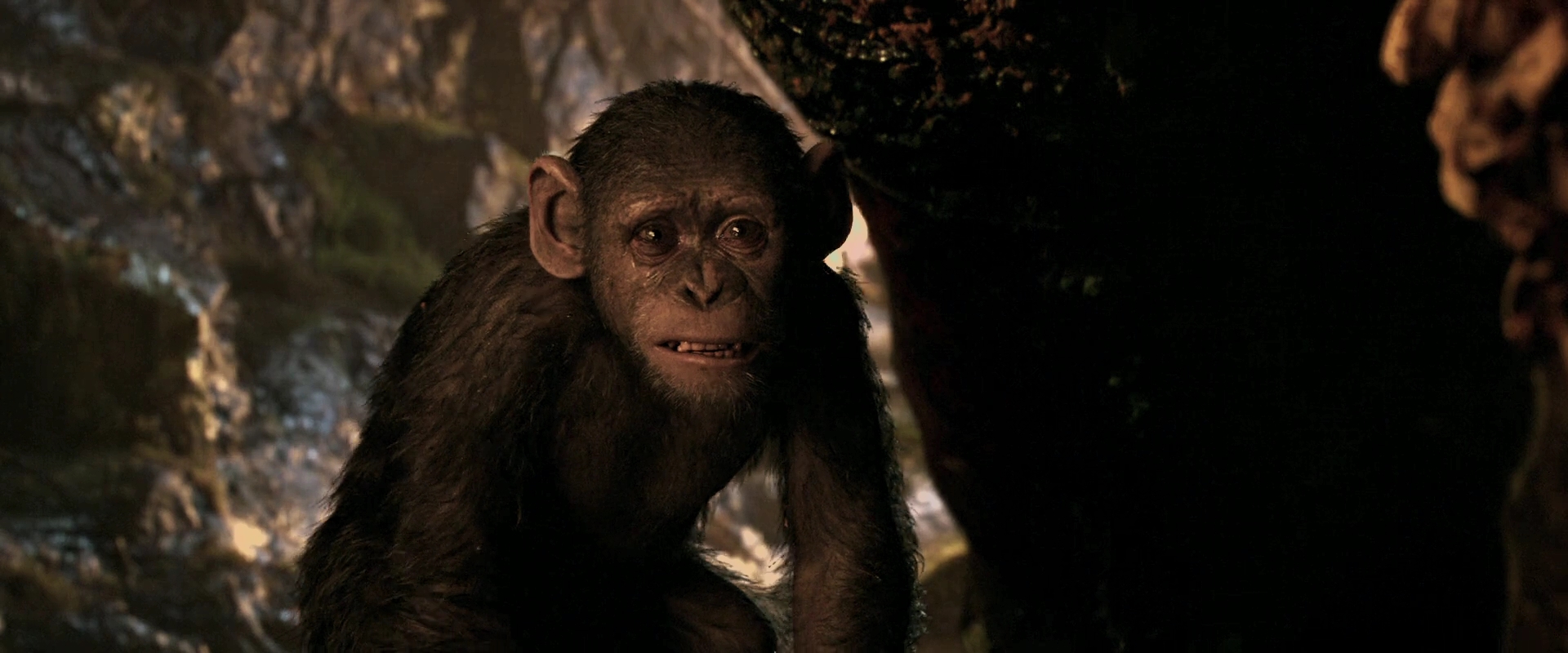 Devyn Dalton in War for the Planet of the Apes (2017)