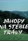 Jahody na stéble trávy (1984)