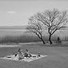 Machiko Kyô and Masayuki Mori in Ugetsu monogatari (1953)