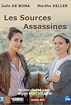 Murder in the Auvergne Mountains