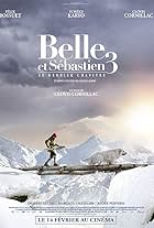 Belle and Sebastian, Friends for Life