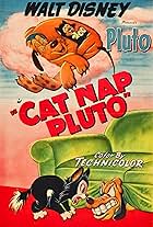 Cat Nap Pluto