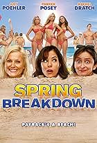 Spring Breakdown