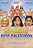 Spring Breakdown (2009) Poster