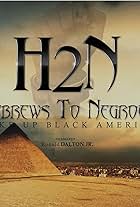 Hebrews to Negroes: Wake Up Black America