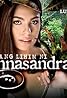 Ang lihim ni Annasandra (TV Series 2014–2015) Poster