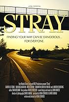 Stray