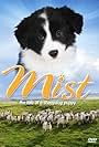 Mist: The Tale of a Sheepdog Puppy (2006)