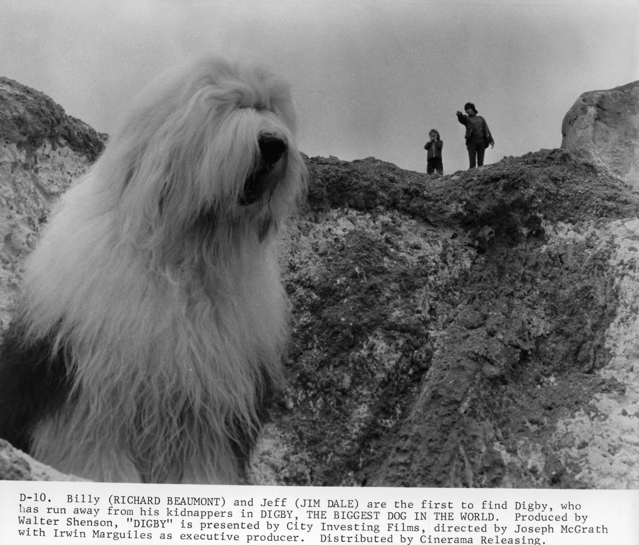 Richard Beaumont, Jim Dale, and Digby in Digby: The Biggest Dog in the World (1973)